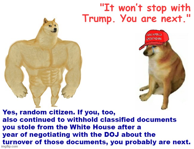 "nO oNe iN aMeRiCa Is SaFe NoW." | "It won’t stop with Trump. You are next."; Yes, random citizen. If you, too, also continued to withhold classified documents you stole from the White House after a year of negotiating with the DOJ about the turnover of those documents, you probably are next. | image tagged in buff doge vs maga cheems,conservative logic,maga,donald trump is an idiot,trump is a moron,trump is an asshole | made w/ Imgflip meme maker