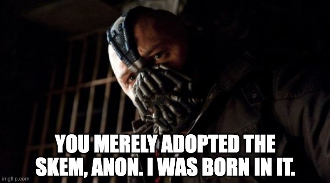 Permission Bane Meme | YOU MERELY ADOPTED THE SKEM, ANON. I WAS BORN IN IT. | image tagged in memes,permission bane | made w/ Imgflip meme maker