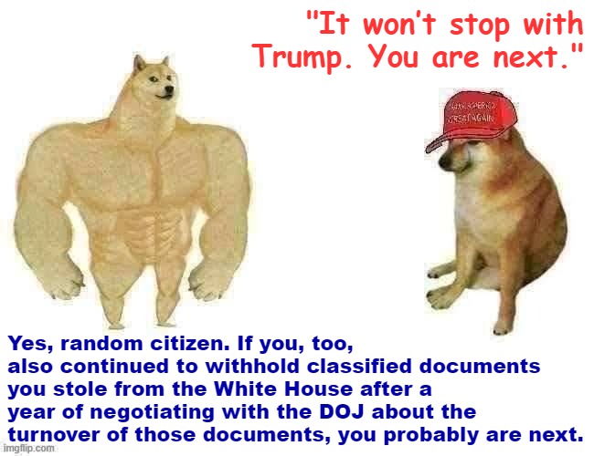 "nO oNe iN aMeRiCa Is SaFe NoW." | "It won’t stop with Trump. You are next."; Yes, random citizen. If you, too, also continued to withhold classified documents you stole from the White House after a year of negotiating with the DOJ about the turnover of those documents, you probably are next. | image tagged in buff doge vs maga cheems | made w/ Imgflip meme maker