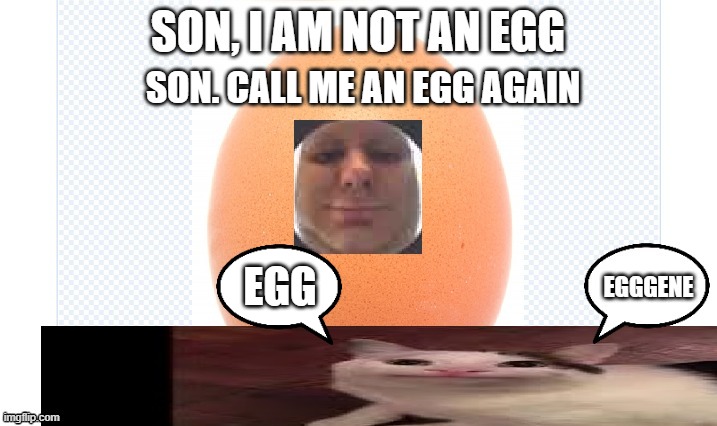 son, i am not an egg | SON. CALL ME AN EGG AGAIN; EGG | image tagged in memes,beluga | made w/ Imgflip meme maker