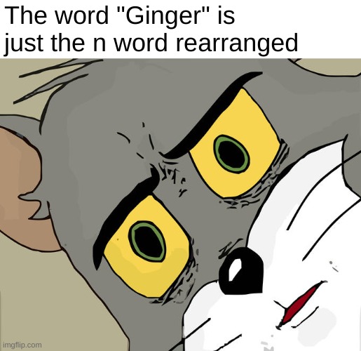 Just going to ignore that... | The word "Ginger" is just the n word rearranged | image tagged in memes,unsettled tom | made w/ Imgflip meme maker