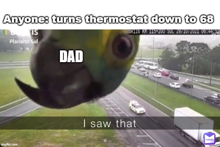 I saw that | Anyone: turns thermostat down to 68; DAD | image tagged in i saw that,memes,bird memes,air conditioner,dad | made w/ Imgflip meme maker