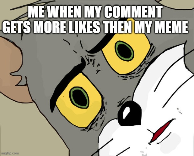 Disapointment | ME WHEN MY COMMENT GETS MORE LIKES THEN MY MEME | image tagged in memes,funny,meme,fun,cat | made w/ Imgflip meme maker