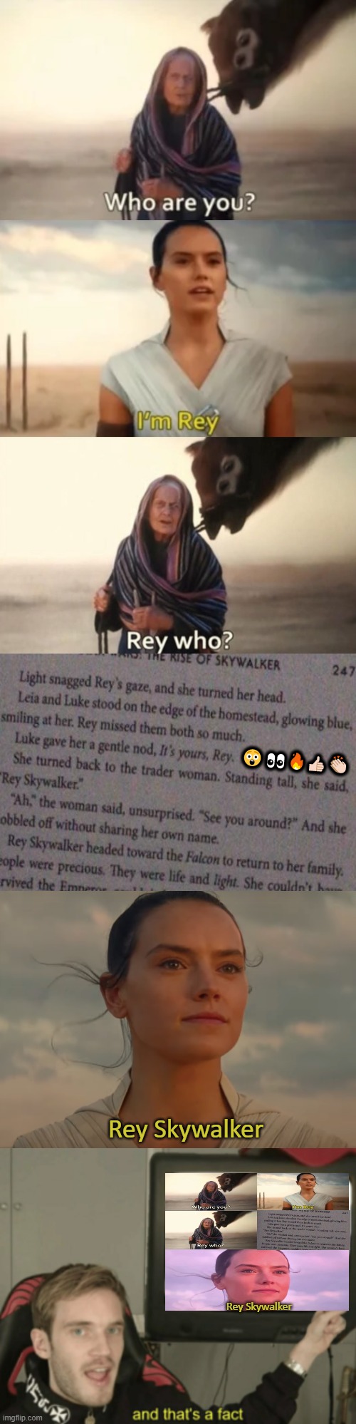 Yo dawg, I heard you like Star Wars Novels... So I got a novel about star wars so you can like SW while hating it. |  😲👀🔥👍🏻👏🏻; Rey Skywalker; Rey Skywalker | image tagged in rey skywalker,and that's a fact,star wars,based,phandom menace,you lose this round | made w/ Imgflip meme maker