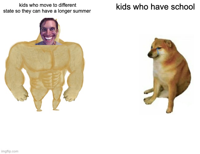 100000000 IQ |  kids who move to different state so they can have a longer summer; kids who have school | image tagged in memes,buff doge vs cheems,school,smart,doge,smile | made w/ Imgflip meme maker