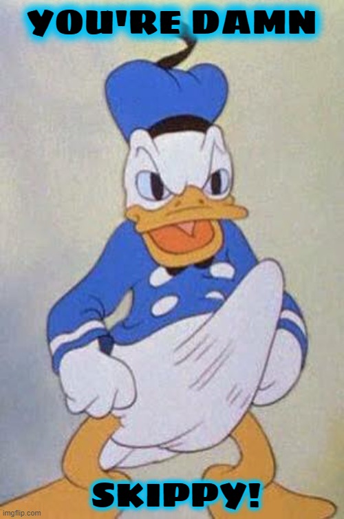Horny Donald Duck | YOU'RE DAMN SKIPPY! | image tagged in horny donald duck | made w/ Imgflip meme maker
