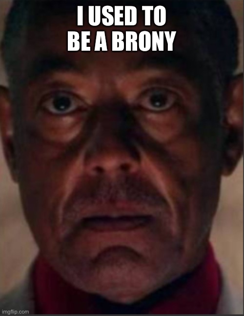 Gus fring | I USED TO BE A BRONY | image tagged in gus fring | made w/ Imgflip meme maker