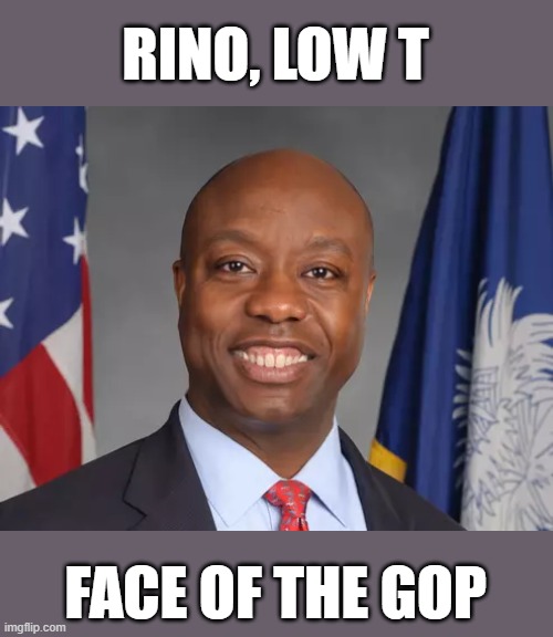 RINO, LOW T; FACE OF THE GOP | image tagged in tim scott,rino | made w/ Imgflip meme maker