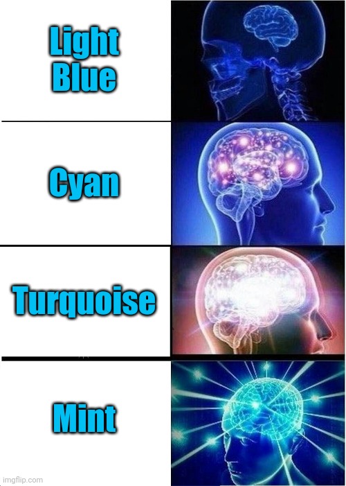 What would you say? | Light Blue; Cyan; Turquoise; Mint | image tagged in memes,expanding brain,among us,funny | made w/ Imgflip meme maker