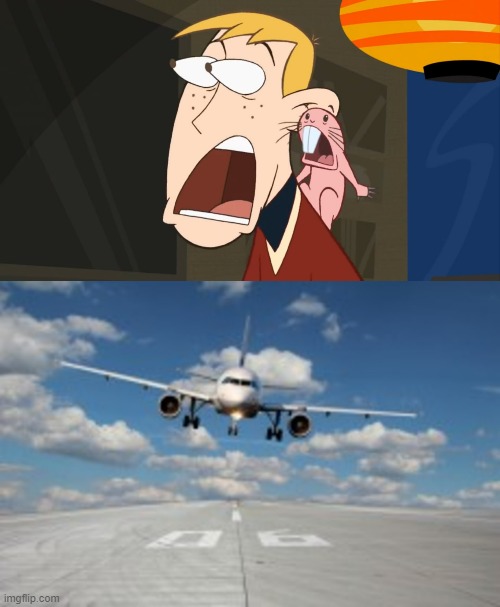DUCK! | image tagged in ron shockable,airplane,plane,memes | made w/ Imgflip meme maker