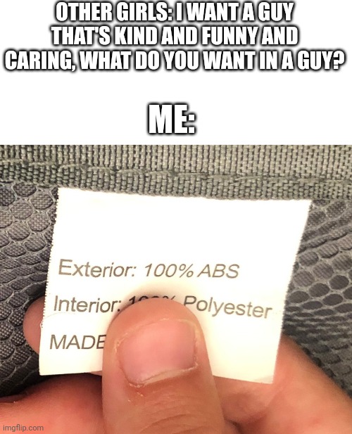 Literally 100% abs and nothing else. | OTHER GIRLS: I WANT A GUY THAT'S KIND AND FUNNY AND CARING, WHAT DO YOU WANT IN A GUY? ME: | image tagged in exterior 100 abs,girls,guys,abs,kind,funny | made w/ Imgflip meme maker