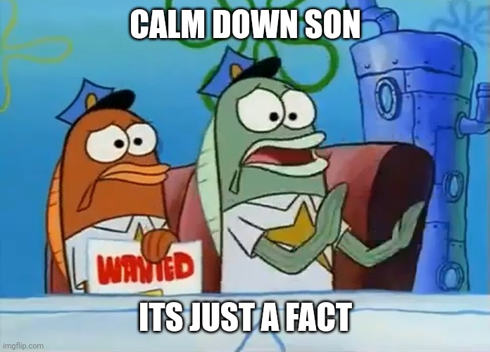 When I tell a fact and someone gets offended: | CALM DOWN SON; ITS JUST A FACT | image tagged in calm down son,funny memes | made w/ Imgflip meme maker
