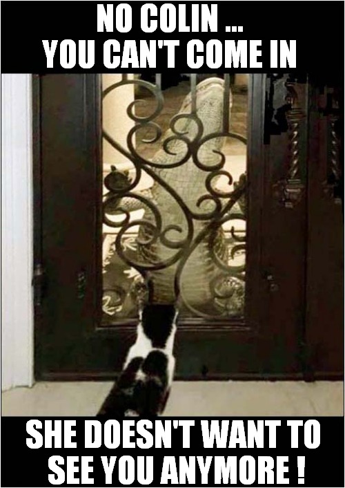 An Age Old Story ! | NO COLIN ...
YOU CAN'T COME IN; SHE DOESN'T WANT TO
 SEE YOU ANYMORE ! | image tagged in cats,alligator,ex boyfriend | made w/ Imgflip meme maker