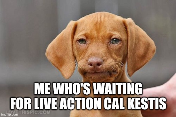 Umm dog | ME WHO'S WAITING FOR LIVE ACTION CAL KESTIS | image tagged in umm dog | made w/ Imgflip meme maker