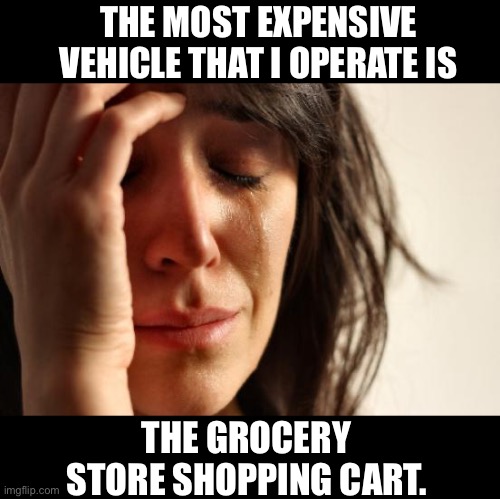 Expensive wheels | THE MOST EXPENSIVE VEHICLE THAT I OPERATE IS; THE GROCERY STORE SHOPPING CART. | image tagged in memes,first world problems | made w/ Imgflip meme maker