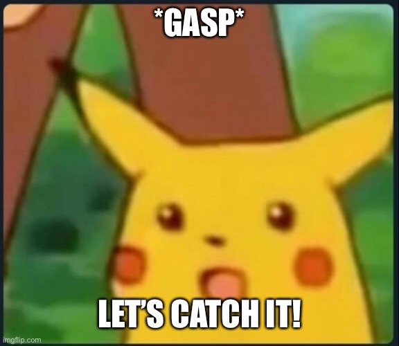 Surprised Pikachu | *GASP* LET’S CATCH IT! | image tagged in surprised pikachu | made w/ Imgflip meme maker