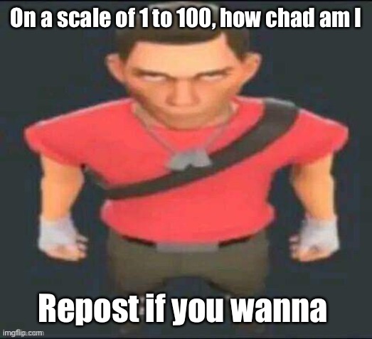 scout but I saved it so I don’t forget | On a scale of 1 to 100, how chad am I; Repost if you wanna | image tagged in scout but i saved it so i don t forget | made w/ Imgflip meme maker