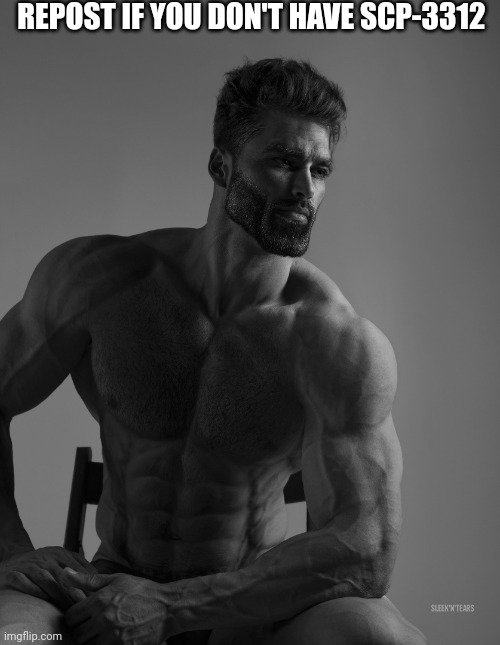 Giga Chad | REPOST IF YOU DON'T HAVE SCP-3312 | image tagged in giga chad | made w/ Imgflip meme maker
