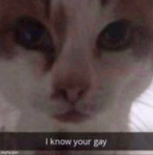 I know your gay | image tagged in i know your gay | made w/ Imgflip meme maker