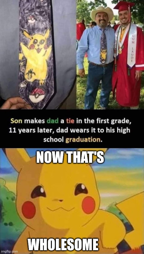 PROUD FATHER | NOW THAT'S; WHOLESOME | image tagged in pokemon,pokemon memes,pikachu | made w/ Imgflip meme maker