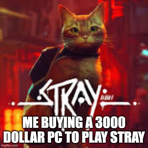 ME BUYING A 3000 DOLLAR PC TO PLAY STRAY | image tagged in stray | made w/ Imgflip meme maker