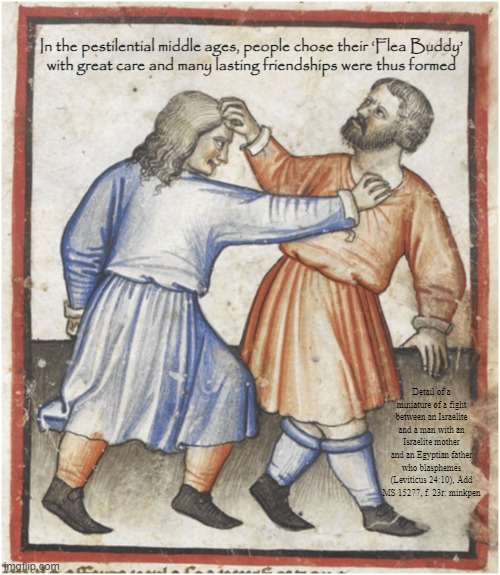Fleas | In the pestilential middle ages, people chose their ‘Flea Buddy’
with great care and many lasting friendships were thus formed; Detail of a miniature of a fight between an Israelite and a man with an Israelite mother and an Egyptian father who blasphemes (Leviticus 24:10), Add
MS 15277, f. 23r: minkpen | image tagged in art memes,middle ages,medieval,fleas,you scratch my back i'll scratch yours,friendship | made w/ Imgflip meme maker