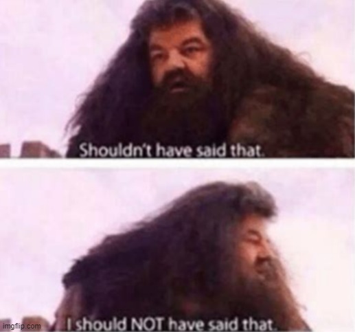 Me after I say literally anything | image tagged in shouldn't have said that | made w/ Imgflip meme maker