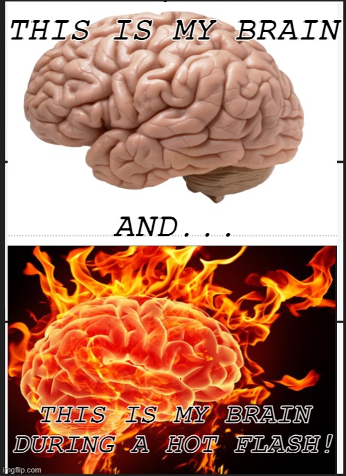 BRAIN | THIS IS MY BRAIN; AND... THIS IS MY BRAIN DURING A HOT FLASH! | image tagged in expanding brain two frames | made w/ Imgflip meme maker