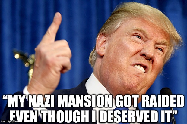 It would have been better if they hung Tr**p but I’ll settle for this | “MY NAZI MANSION GOT RAIDED EVEN THOUGH I DESERVED IT” | image tagged in conservative logic | made w/ Imgflip meme maker