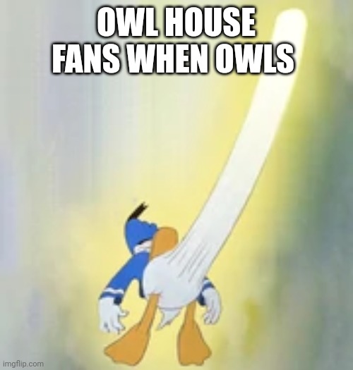 Donald horny 100 | OWL HOUSE FANS WHEN OWLS | image tagged in donald horny 100 | made w/ Imgflip meme maker