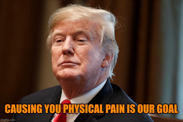 Trump | CAUSING YOU PHYSICAL PAIN IS OUR GOAL | image tagged in trump | made w/ Imgflip meme maker