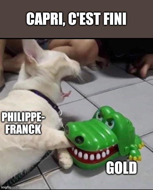 Cat bitten by toy alligator | CAPRI, C'EST FINI; PHILIPPE-
FRANCK; GOLD | image tagged in cat bitten by toy alligator | made w/ Imgflip meme maker