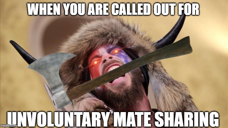 Flag Hunter | WHEN YOU ARE CALLED OUT FOR; UNVOLUNTARY MATE SHARING | image tagged in triggered,qanon,american,horned,viking | made w/ Imgflip meme maker