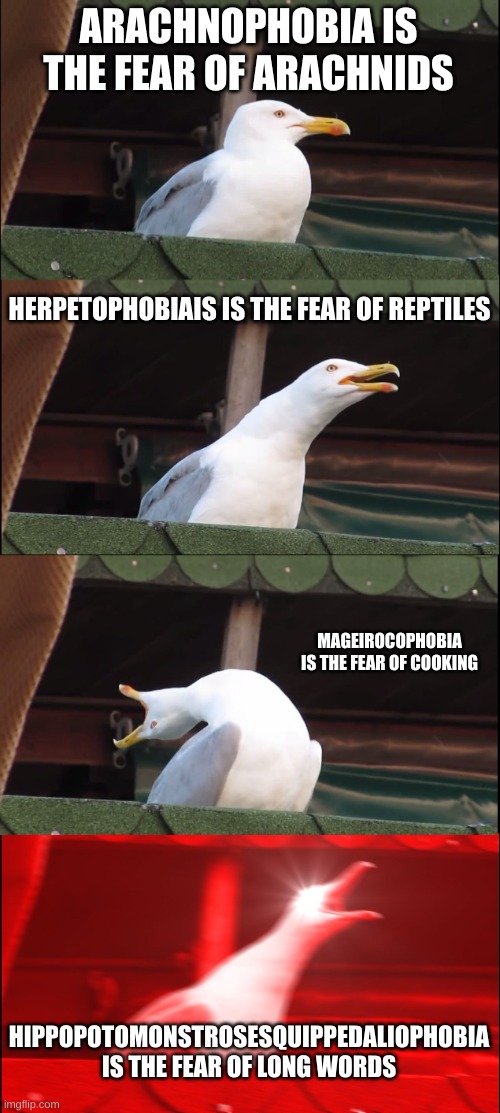 phobias | ARACHNOPHOBIA IS THE FEAR OF ARACHNIDS; HERPETOPHOBIAIS IS THE FEAR OF REPTILES; MAGEIROCOPHOBIA IS THE FEAR OF COOKING; HIPPOPOTOMONSTROSESQUIPPEDALIOPHOBIA IS THE FEAR OF LONG WORDS | image tagged in memes,inhaling seagull | made w/ Imgflip meme maker