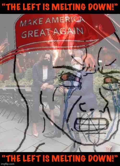 Troll of the Day: The Esteemed MAGA Community | image tagged in triggered maga wojak the left is melting down | made w/ Imgflip meme maker