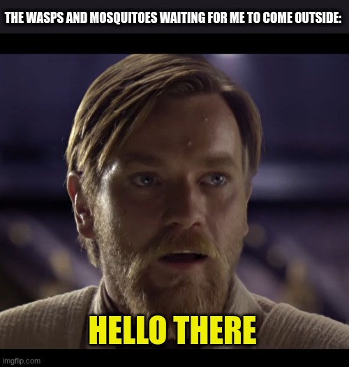 hello there |  THE WASPS AND MOSQUITOES WAITING FOR ME TO COME OUTSIDE:; HELLO THERE | image tagged in hello there | made w/ Imgflip meme maker