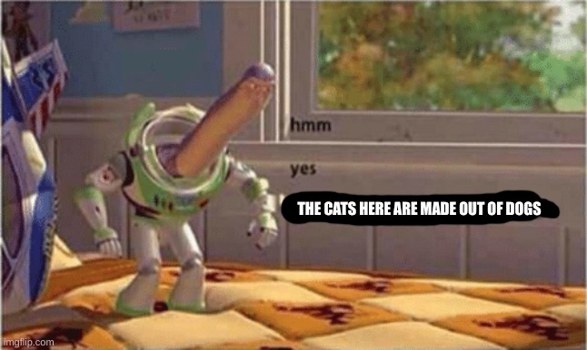 hmm yes the floor here is made out of floor | THE CATS HERE ARE MADE OUT OF DOGS | image tagged in hmm yes the floor here is made out of floor | made w/ Imgflip meme maker