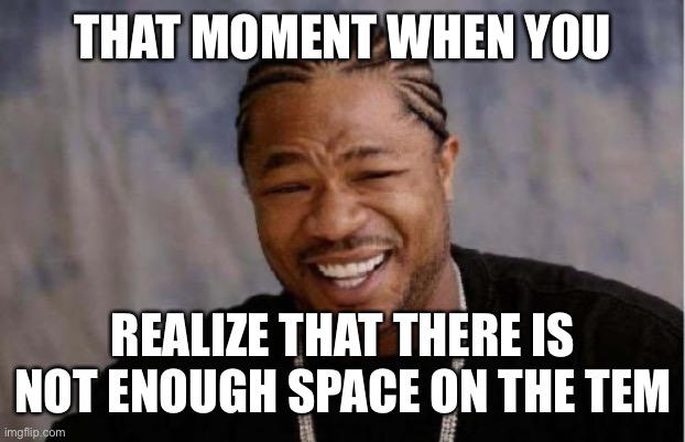 Yo Dawg Heard You Meme | THAT MOMENT WHEN YOU; REALIZE THAT THERE IS NOT ENOUGH SPACE ON THE TEM | image tagged in memes,yo dawg heard you | made w/ Imgflip meme maker