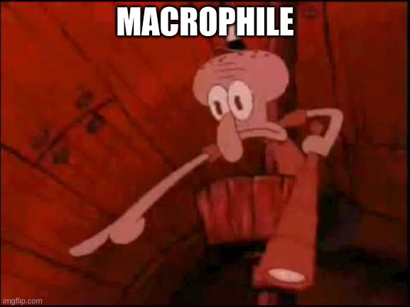Squidward pointing | MACROPHILE | image tagged in squidward pointing | made w/ Imgflip meme maker