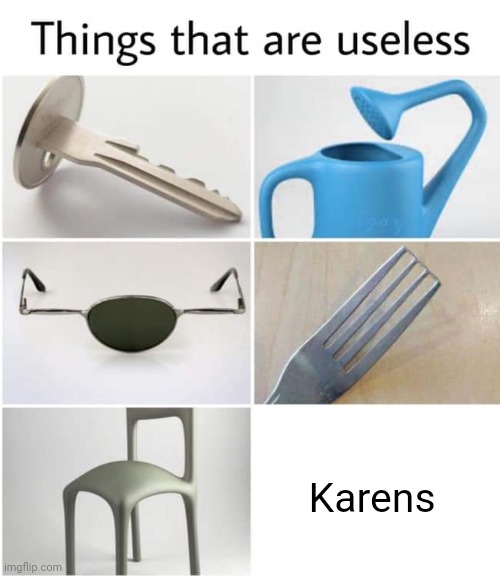 Useless Karens | Karens | image tagged in things that are useless,useless,karens,karen,memes,meme | made w/ Imgflip meme maker