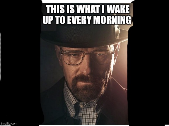 Jesse you need to wake up | THIS IS WHAT I WAKE UP TO EVERY MORNING | image tagged in fun | made w/ Imgflip meme maker