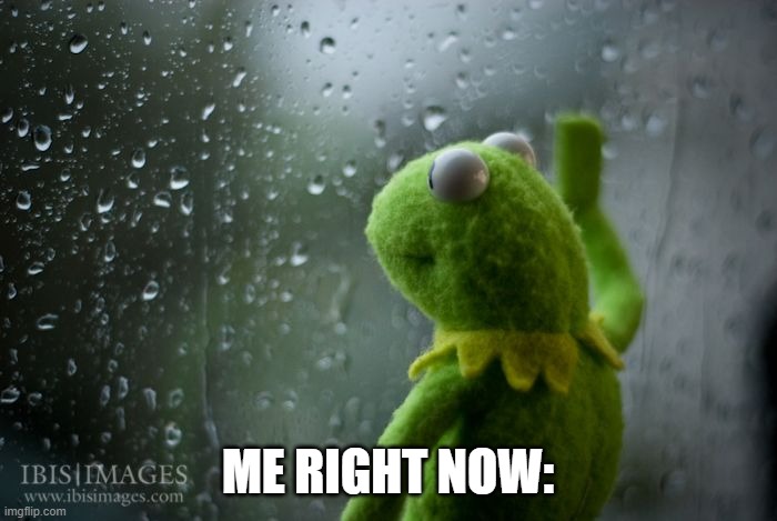 ME RIGHT NOW: | image tagged in kermit window | made w/ Imgflip meme maker