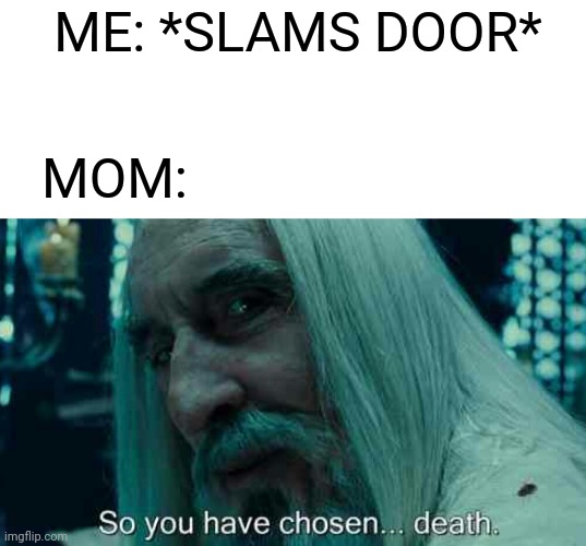 ME: *SLAMS DOOR*; MOM: | image tagged in blank white template,so you have chosen death,memes | made w/ Imgflip meme maker