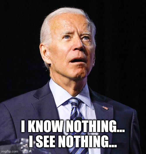 Joe Biden | I KNOW NOTHING...
I SEE NOTHING... | image tagged in joe biden | made w/ Imgflip meme maker