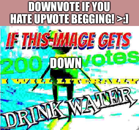 no beggars! | DOWNVOTE IF YOU HATE UPVOTE BEGGING! >:]; DOWN | image tagged in if this image gets 200 upvotes i will literally drink water | made w/ Imgflip meme maker