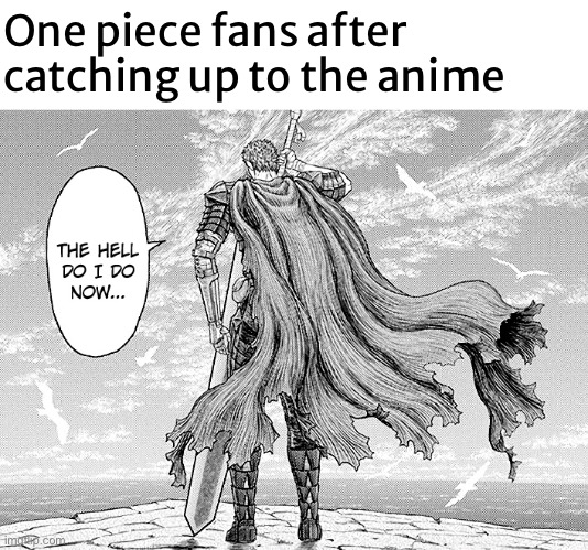 The hell do I do now… | One piece fans after catching up to the anime | image tagged in the hell do i do now | made w/ Imgflip meme maker