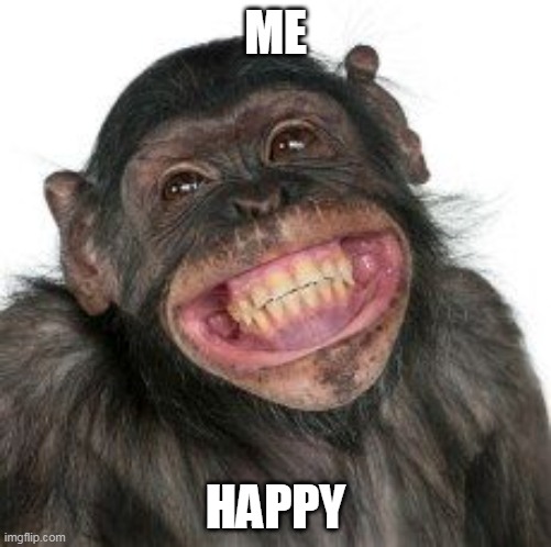 Grinning Chimp | ME; HAPPY | image tagged in grinning chimp | made w/ Imgflip meme maker