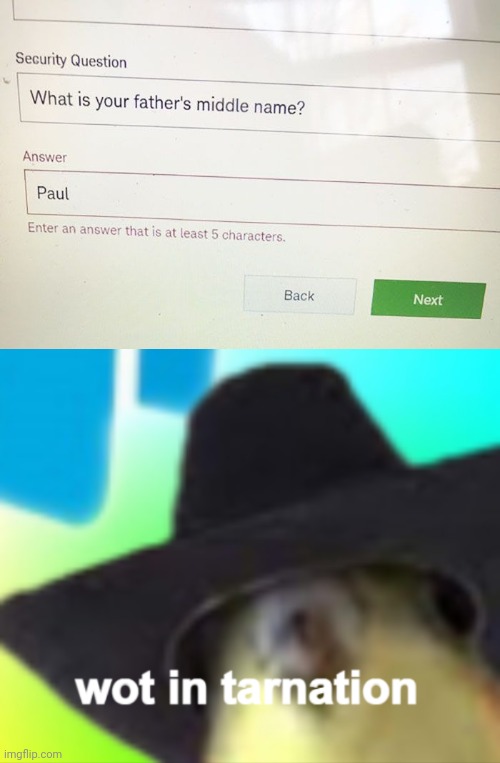 Smh | image tagged in cockatiel wot in tarnation,you had one job,father,middle name,memes,security | made w/ Imgflip meme maker