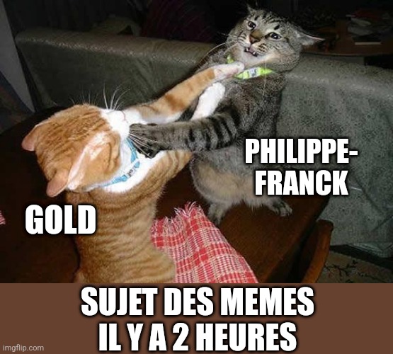 Two cats fighting for real | PHILIPPE-
FRANCK; GOLD; SUJET DES MEMES
IL Y A 2 HEURES | image tagged in two cats fighting for real | made w/ Imgflip meme maker