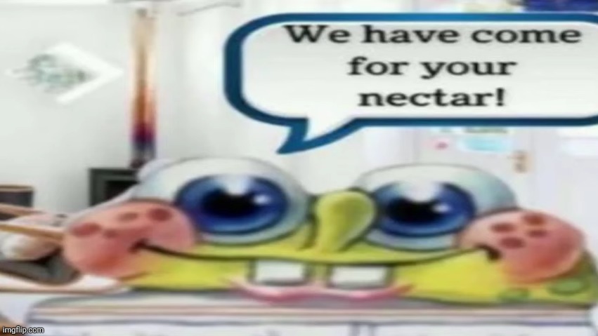 We have come for your nectar! | image tagged in we have come for your nectar | made w/ Imgflip meme maker